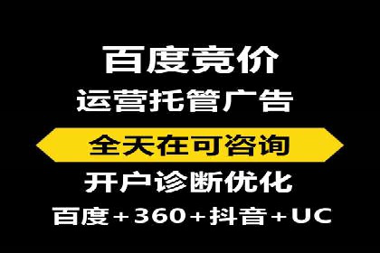 SEM托管公司案例分析：数据驱动决策